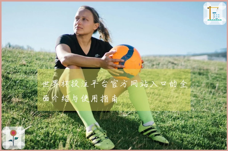 世界杯投注平台官方网站入口的全面介绍与使用指南