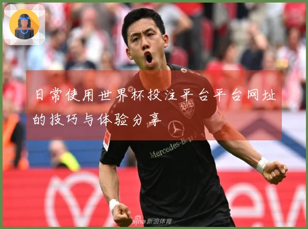 日常使用世界杯投注平台平台网址的技巧与体验分享