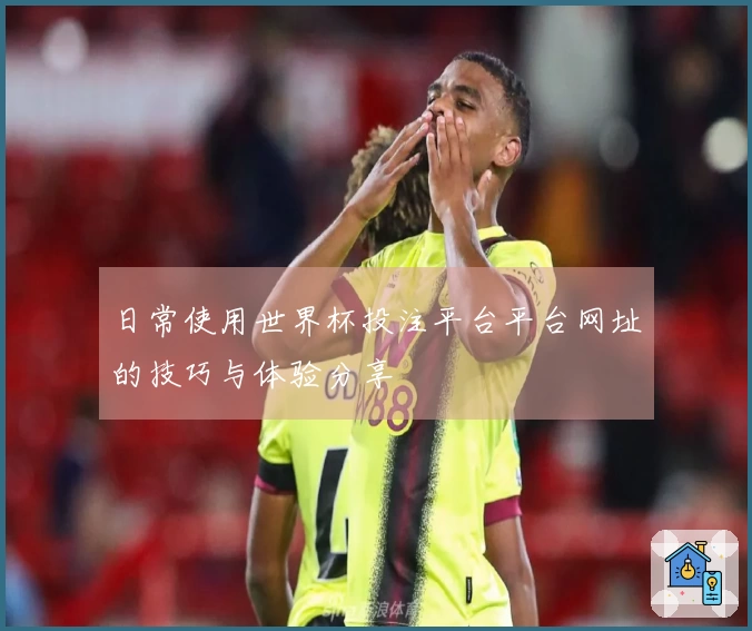 日常使用世界杯投注平台平台网址的技巧与体验分享